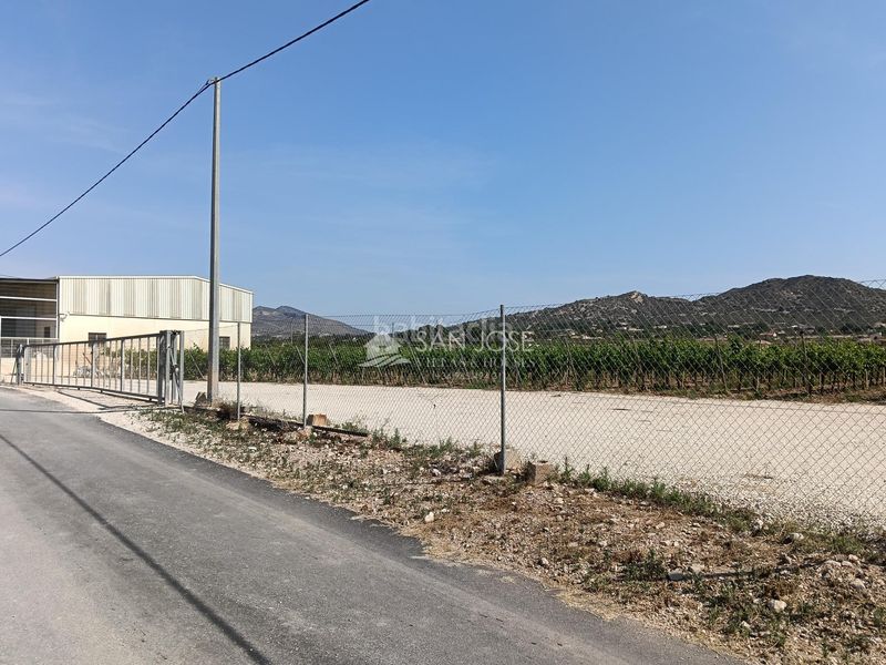 Foto 550e931e-8900-4996-9bd2-c8dc411a26a0. Finca rústica a Pedanías Oeste Aspe