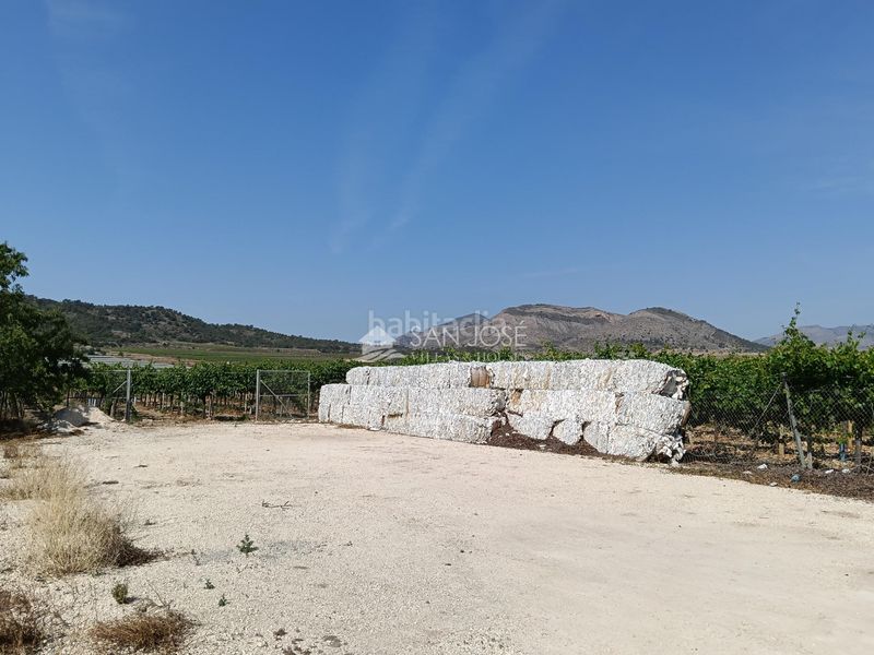 Foto af578542-3f55-4c34-86c7-3ae295db0dee. Finca rústica a Pedanías Oeste Aspe