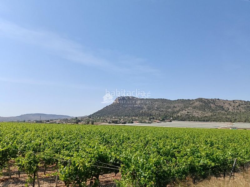 Foto b70d0bd4-750d-49f7-9059-26e97e7724d5. Finca rústica a Pedanías Oeste Aspe