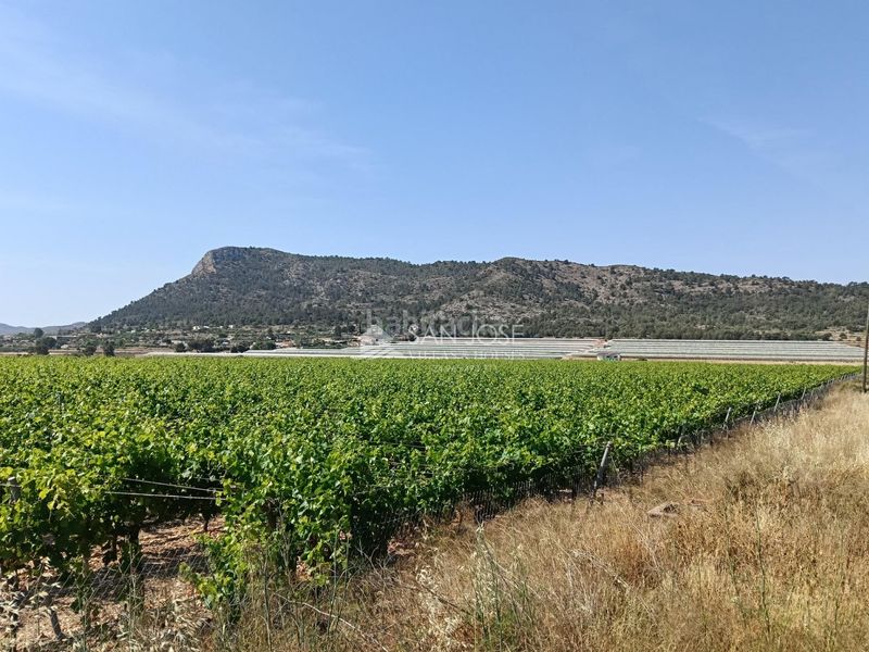 Foto d576a6dc-2751-413c-80b8-05418a99aad4. Finca rústica a Pedanías Oeste Aspe
