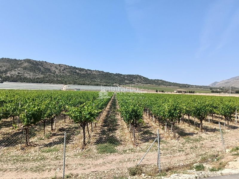 Foto e78d2f5a-0e49-4024-8d3f-512d4b960ac3. Finca rústica a Pedanías Oeste Aspe