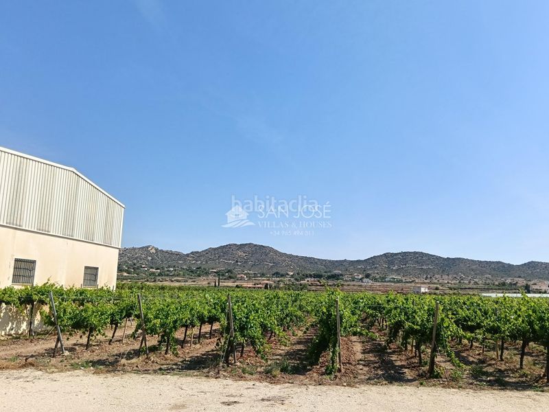 Foto f25ff094-b205-4c67-a2b3-42dc695fe624. Finca rústica a Pedanías Oeste Aspe