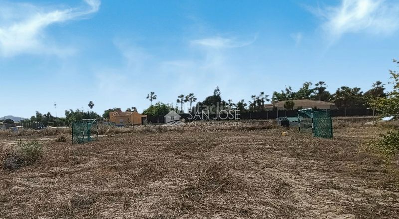 Foto cc0f9ea3-d6e8-4a96-b57f-42747ed9b9f6. Finca rústica a Novelda