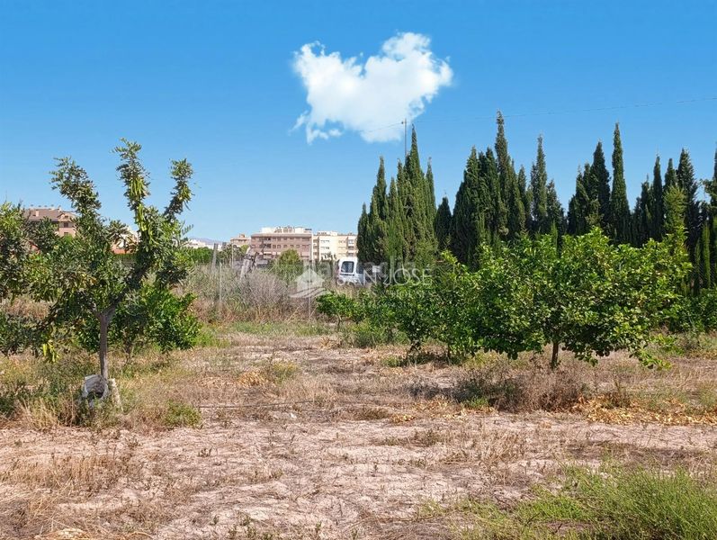 Foto f7fc5f0a-ca78-4e89-b09f-3945619d6ca2. Finca rústica a Novelda