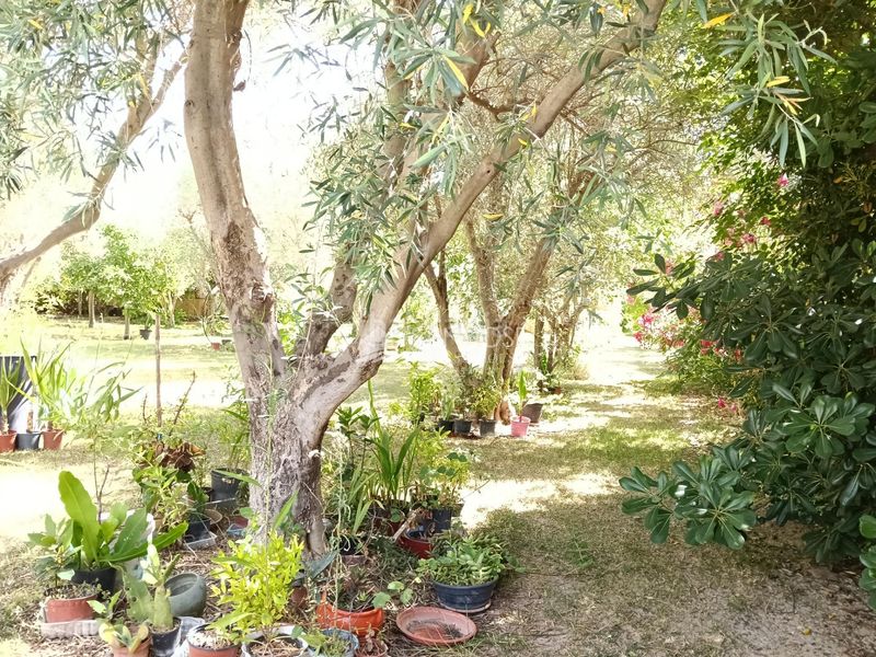 Foto 52337aa1-5f7e-4c5d-827b-c18c02abc5be. Chalet mit pool in Romana (la)