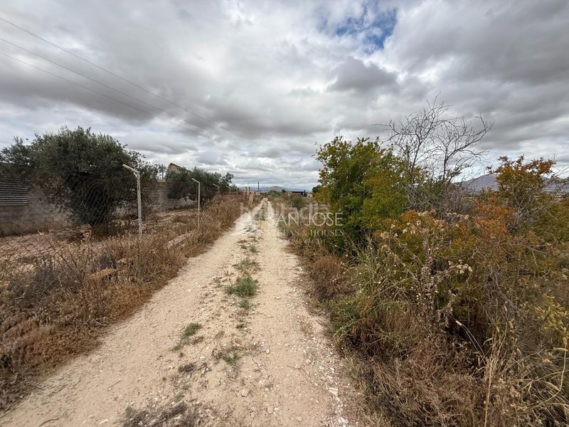Foto 57d11e79-a7f4-4995-9662-5085fd92b85d. Finca rústica a Pedanías Este Aspe