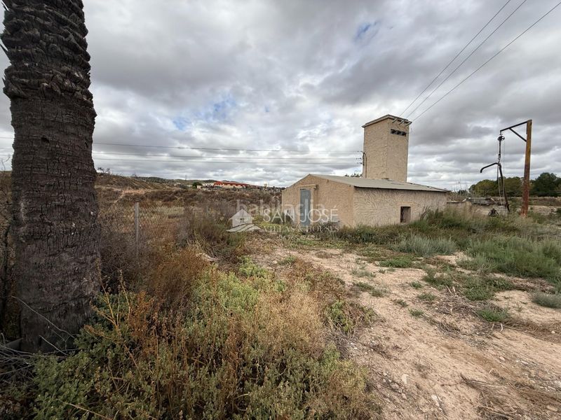 Foto a9140a4c-e537-469c-82ea-a604d0815579. Finca rústica a Pedanías Este Aspe