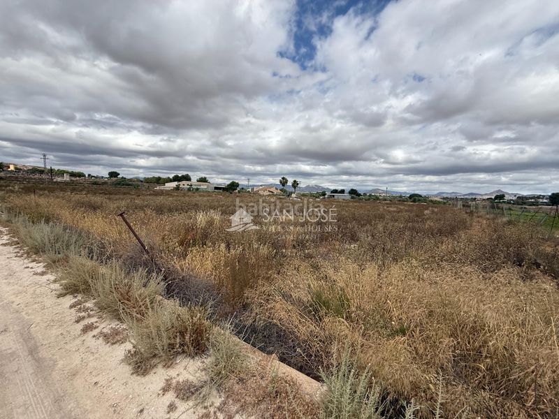 Foto b6fd6042-f237-48d6-b5e9-bad29d26b830. Finca rústica a Pedanías Este Aspe