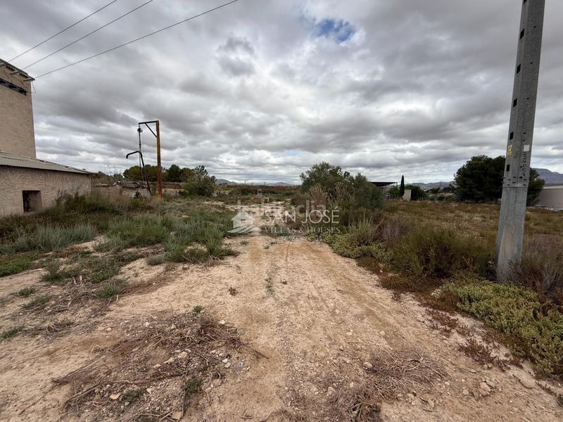 Foto c5e0acba-d988-48e9-b111-4e305789886c. Finca rústica a Pedanías Este Aspe