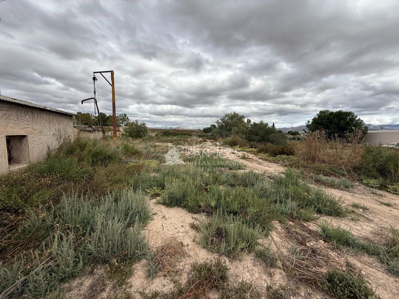 Foto c6bfb5aa-9a7a-4b80-9d71-83527e3d08fa. Finca rústica a Pedanías Este Aspe