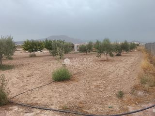 Rural plot in Monforte del Cid. Parcela de 3.900 m2 al lado de monforte del cid, tiene mobile ho