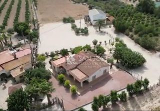 Maison à Crevillente. Se vende casa de campo con nave en parcela de 10000 m en crevill