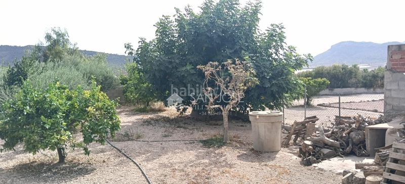 Foto e0bd5f65-1f6c-4aeb-87c9-38d4922b5384. Xalet amb calefacció aparcament piscina a Pedanías Oeste Aspe