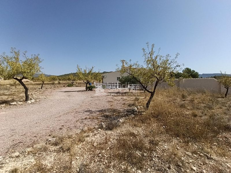 Foto aa4e8f86-96d9-4e9b-8fde-0d0354b9fda8. Xalet amb piscina a Monòver