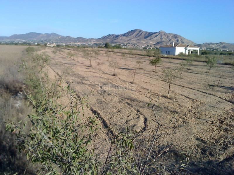 Foto 848798f2-b0e7-493d-953a-48336332b14f. Finca rústica a San Juan Aspe