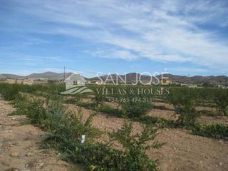 Finca rústica a San Juan. Venta de parcela en aspe alicante