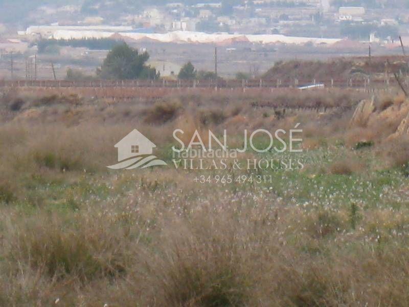 Foto 3a4c0e02-9fd9-4de8-a710-adb33a6839ea. Casa in Romana (la)