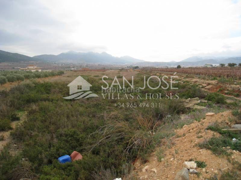 Foto b6ca63b7-57d1-423f-b8a5-b32b5f0dcdb7. Casa in Romana (la)