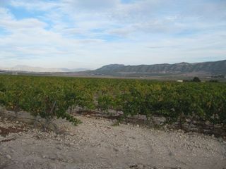 Wohngrundstück in Salinas. Parcela en salinas sin viñedos, alicante