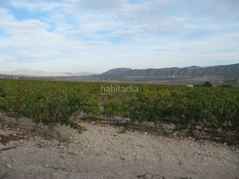 Foto 1f7e4dcf-4085-4674-a74f-897c095f9647. Terreny residencial a Salinas