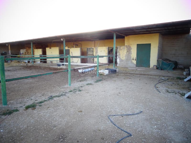 Foto edb016ba-d2ca-408e-abec-68399fbd4808. Xalet amb calefacció piscina a Pedanías Este Aspe