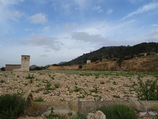 Mas à Hondón de las Nieves. Finca rustica en el tolomoumbria en hondon de las nieves