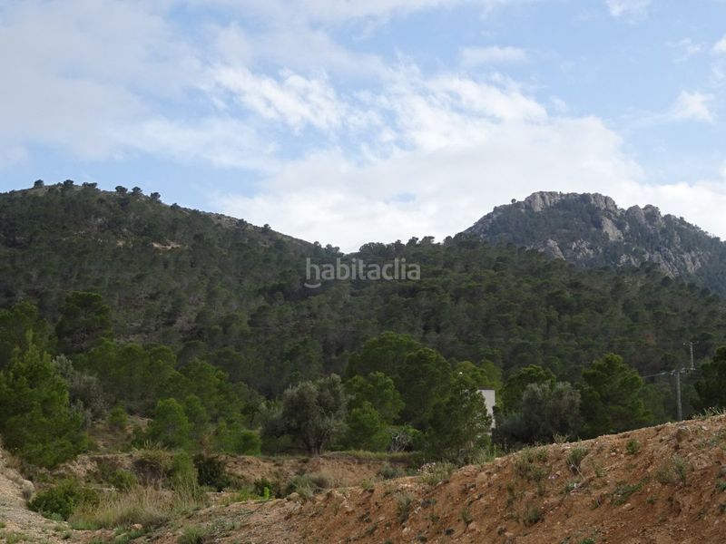 Foto dea2bd8b-02ac-4684-a6ed-7461d4f9e574. Casale in Hondón de las Nieves
