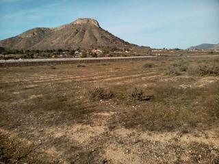 Finca rústica a San Juan. Venta de parcela de 20.800 m2  en aspe en buena zona con agua de