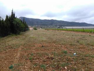 Finca rústica a San Juan. Se vende terreno rustico en aspe zona alcana