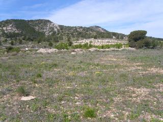Terrain résidentiel à Pinoso. Venta terreno para camping pinoso