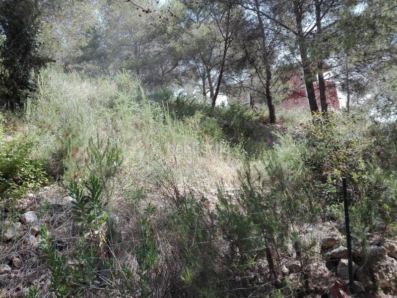 Foto 22b845ec-551d-40b6-bfdb-9507ccc1e35b. Terreny residencial a costa Cunit - els jardins - els rosers Cunit