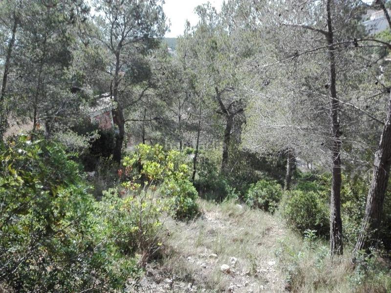 Foto 4a3f64b2-414a-46c9-aa2c-de495cfa2361. Terreny residencial a costa Cunit - els jardins - els rosers Cunit