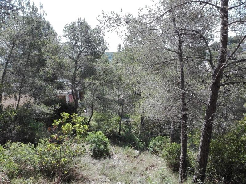 Foto 4f410750-2fdd-43cf-b291-359da0348515. Terreny residencial a costa Cunit - els jardins - els rosers Cunit