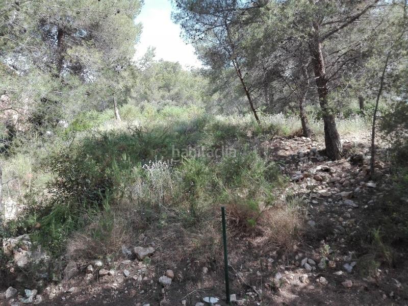 Foto 5533f849-bbc2-470c-adeb-5446cb21267e. Terreny residencial a costa Cunit - els jardins - els rosers Cunit