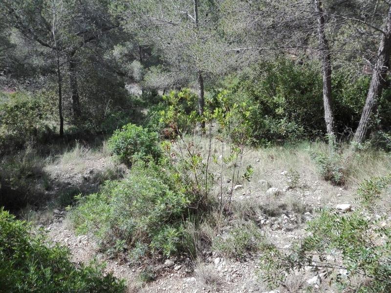 Foto 928c10ff-0215-4ac0-bb12-9a3207a8be49. Terreny residencial a costa Cunit - els jardins - els rosers Cunit