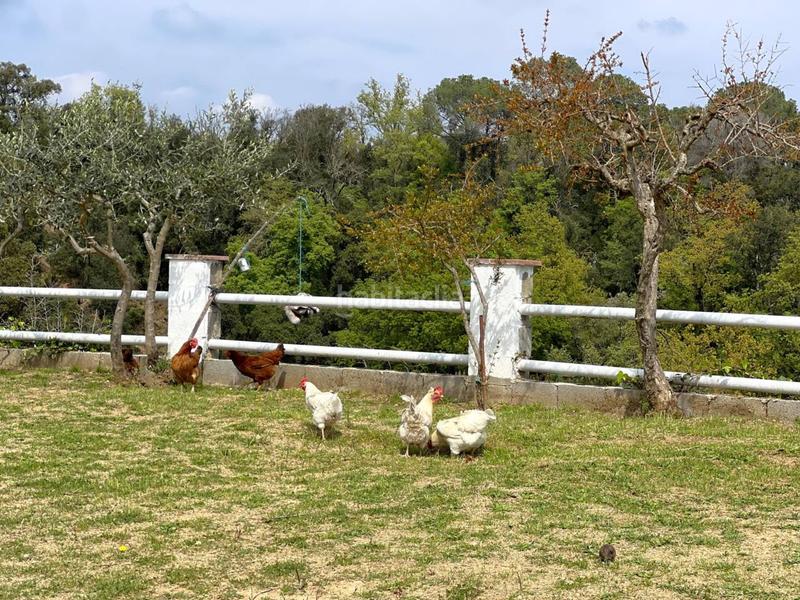 Foto a3bb2c00-7059-469a-ab11-f2e95de652bf. Casa amb aparcament a Riells i Viabrea