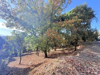 Terreny residencial a Riells i Viabrea