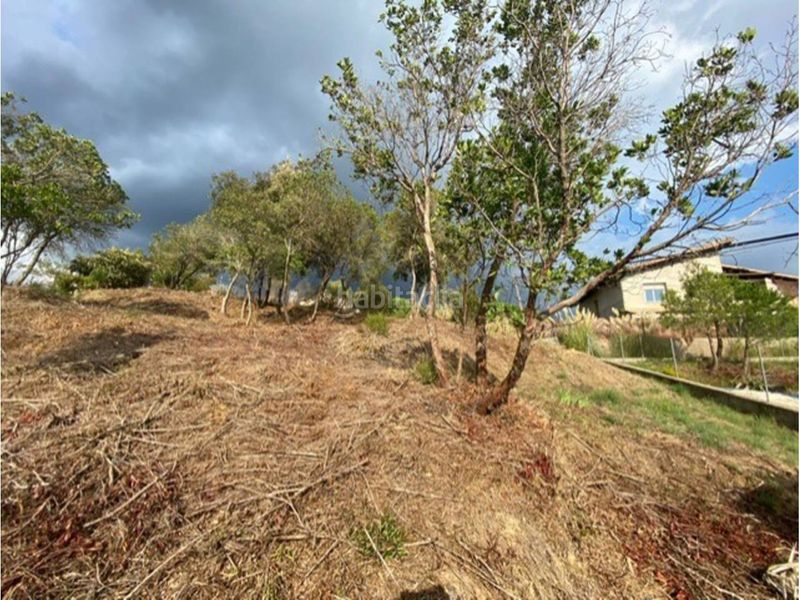 Foto 0d874cde-e092-48dd-963a-05e16f3a53d3. Terreny residencial a Riells i Viabrea
