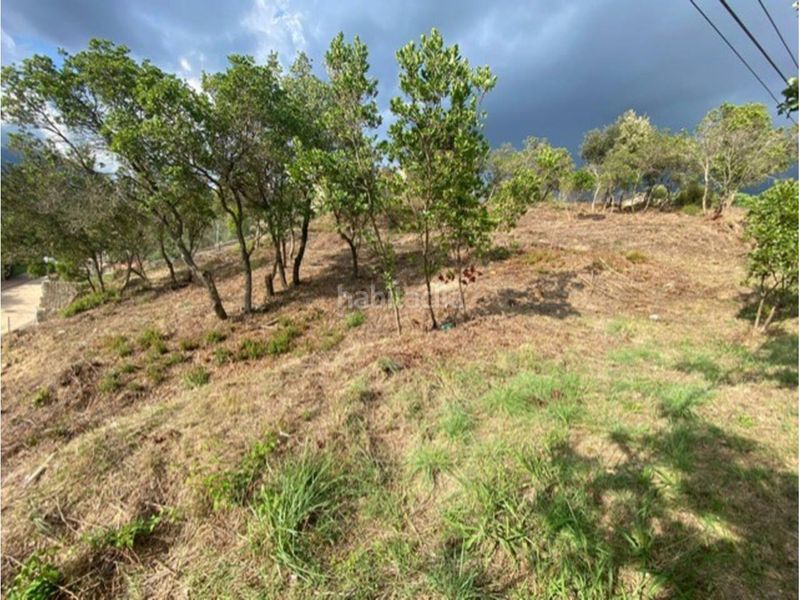 Foto 7b24c253-8815-4d0a-b05d-d6e1aaf58f0d. Terreny residencial a Riells i Viabrea