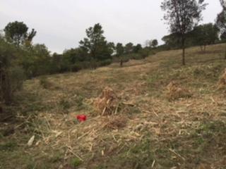 Finca rústica  Riells i viabrea. A seis kilómetros del pueblo de sant celoni
