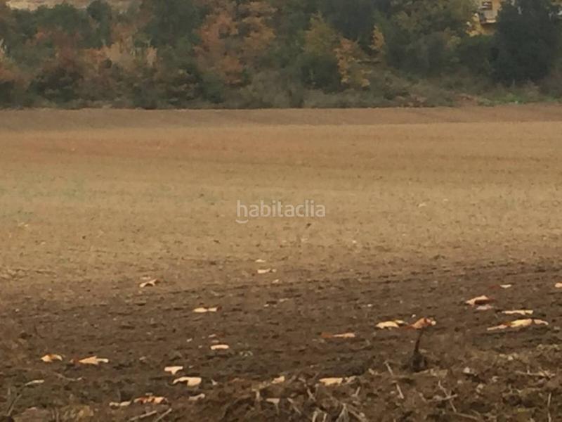 Foto 627004d5-4d9f-41f5-902b-e1ee5f14942d. Landgut in Riells i Viabrea