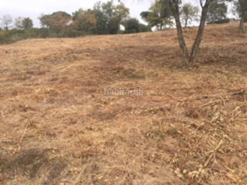 Foto 9d84895f-ccdd-42b5-8194-0ea4ab3af4f0. Landgut in Riells i Viabrea