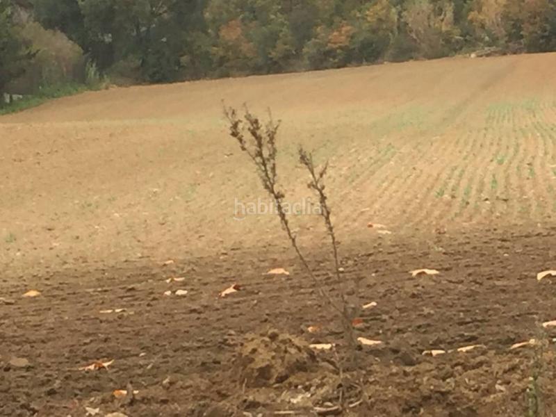 Foto ec57d2ac-272a-445f-8c06-446842359828. Landgut in Riells i Viabrea