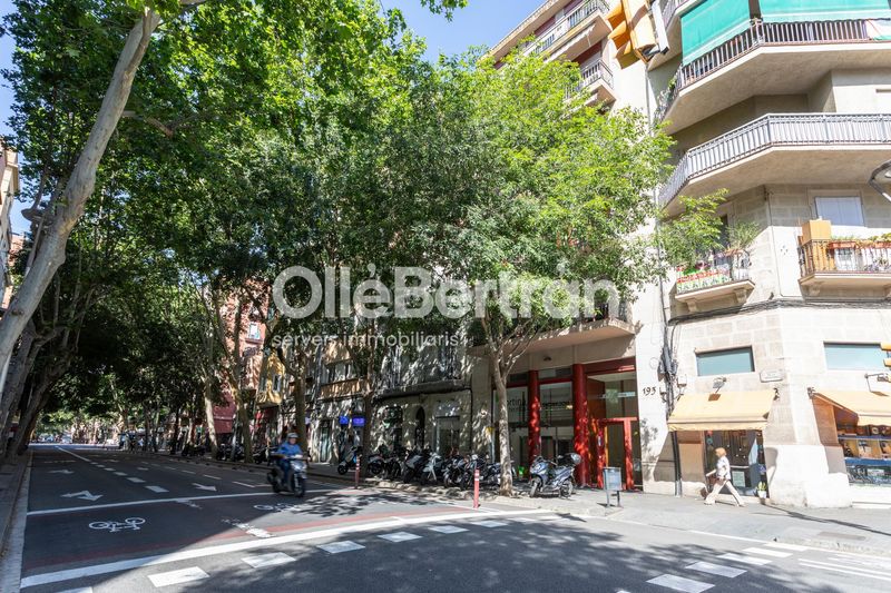 Foto 4dcad533-89ed-4ae3-933c-43a71bebf088. Pis a Sagrada Família Barcelona