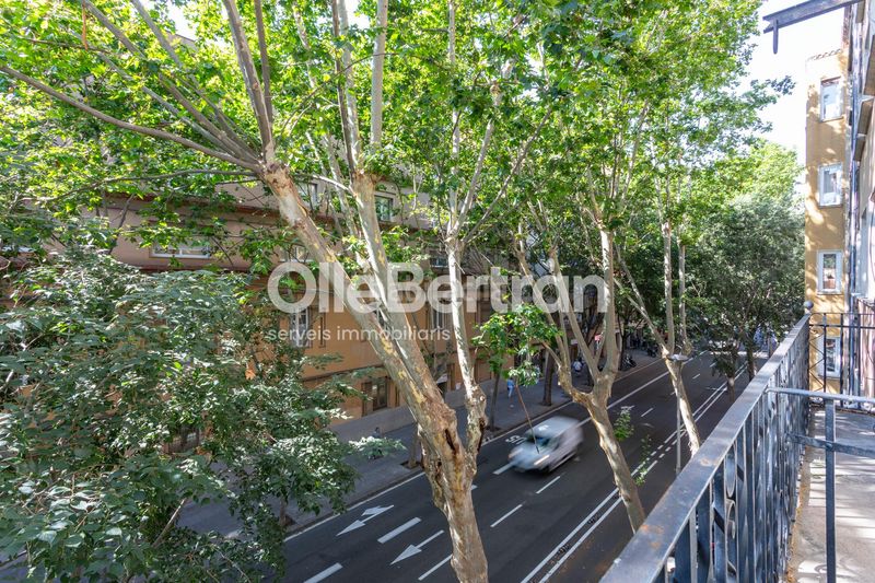 Foto af88888e-35d2-4fba-822a-f1fce9f021d7. Pis a Sagrada Família Barcelona