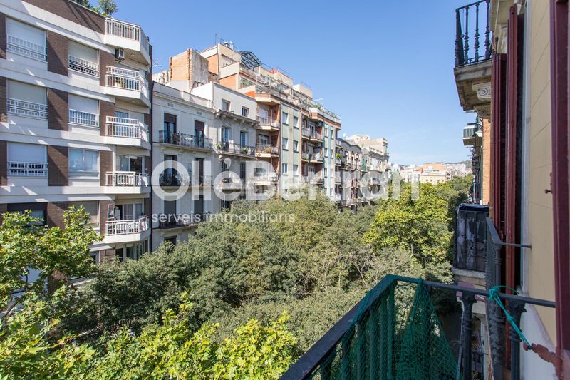Foto 3c3969e9-68fb-4188-b25e-3ee9ce7f151a. Pis a Sagrada Família Barcelona