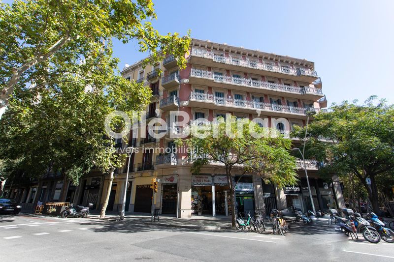 Foto 3ce4b70d-e783-473f-b145-6a84a4910e6a. Pis a Sagrada Família Barcelona