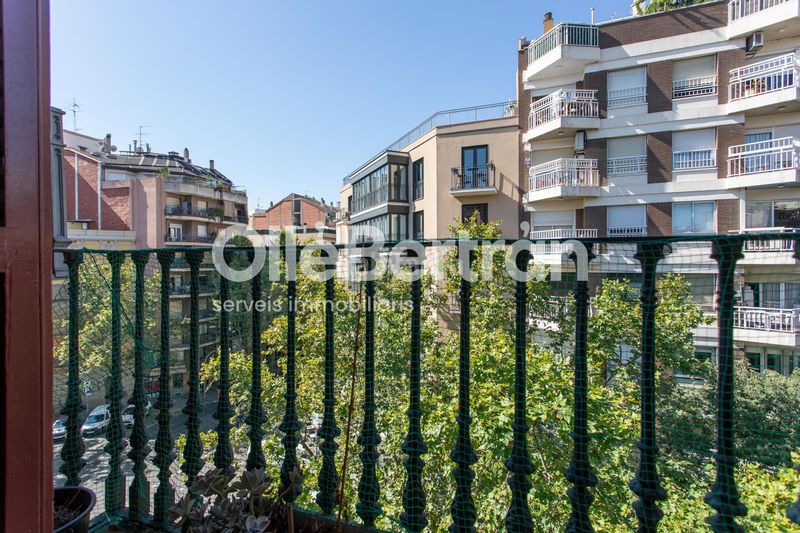 Foto d21bd3f5-e4b9-4dd5-a93f-38b2fe418550. Pis a Sagrada Família Barcelona