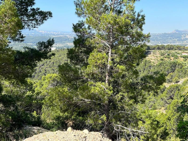 Foto 86d3449c-64d8-4463-8e83-48fe44c508b8. Residential plot in Altea la vella Altea