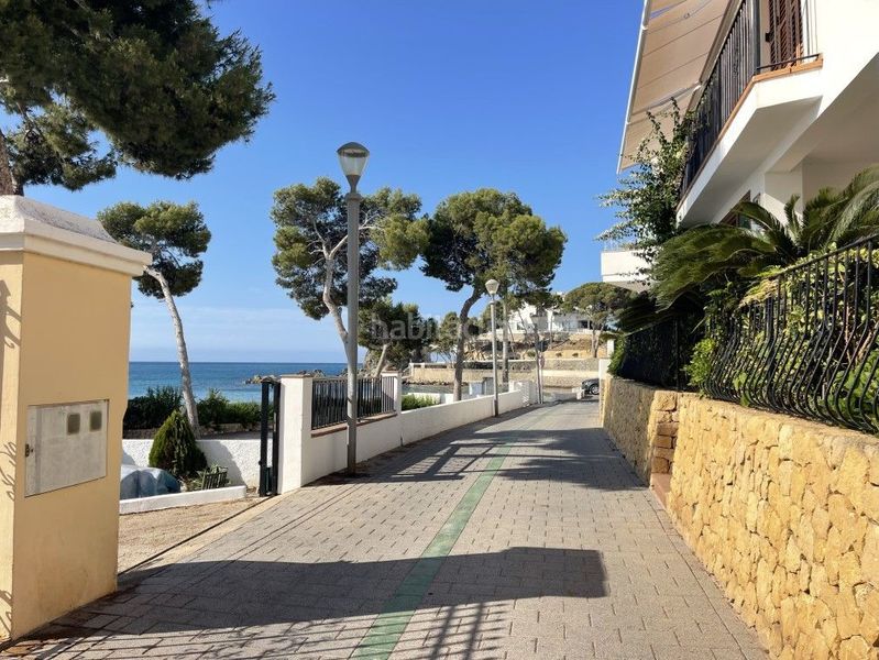 Foto 22d0f168-fbe0-4f67-8719-c2d1cf4d7736. Àtic a cap negret a L´Olla Altea